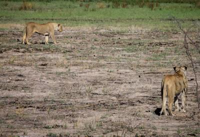 Namibia Northern Swing Safari