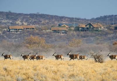 Namibia Family friendly Safari