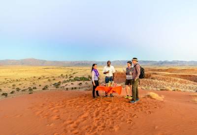 Namib Desert sand dunes