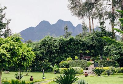 Some of the best manicured gardens in rwanda