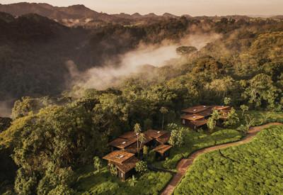 One & Only Nyungwe House