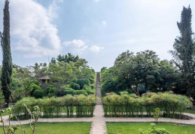 Tropical and manicure gardens