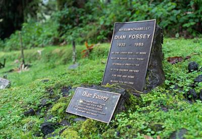 The grave of Dian Fossey