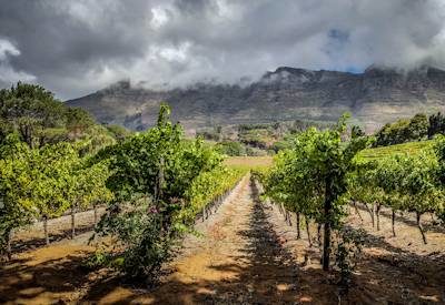 Buitenverwachting Wine Estate