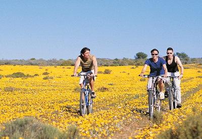 Treasure hunts and moutain biking options