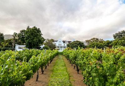Cape Town's vineyard luxury hotel