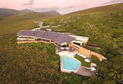 Forest Lodge and her infinity swimming pool