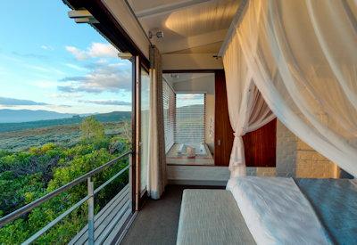 Views out over Grootbos Private Nature Reserve