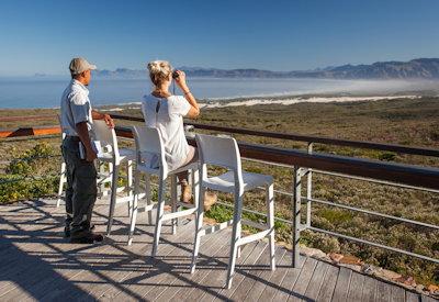 Whale watching from the nature reserve
