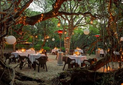 A lodge in an ancient milkwood forest