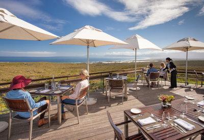 Magnificent cuisine in South Africa