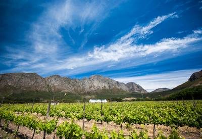 Franschhoek & Stellenbosch