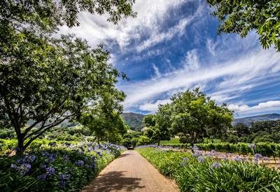 Peninsula & Constantia Tour