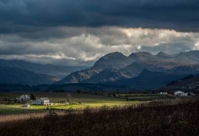 Stellenbosch & Whales