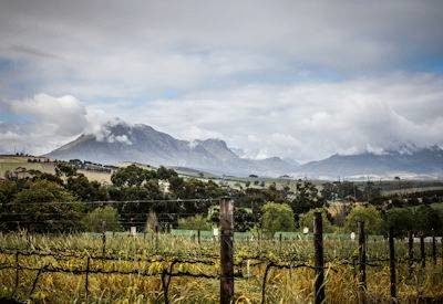 Stellenbosch Helicopter Tour