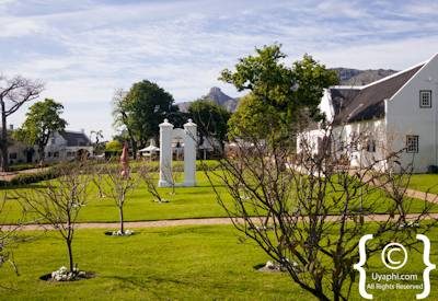 Steenberg Hotel Photo Gallery