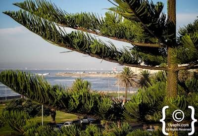 Winchester Mansions Photo Gallery