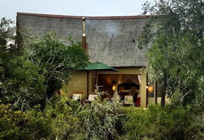 Private viewing deck and plunge pool