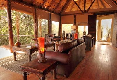 Safaris in the Amakhala Game Reserve