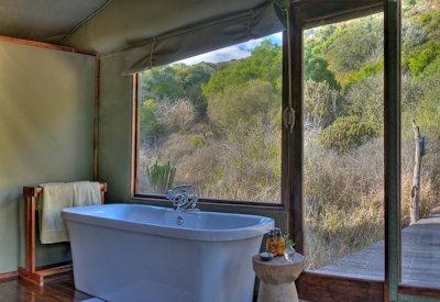 Large and intimate freestanding bathtubs