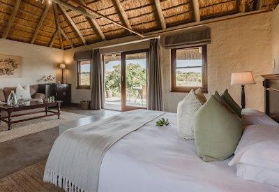 Beautiful and luxurious safari suites