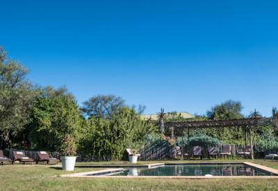Swimming pool with sun loungers