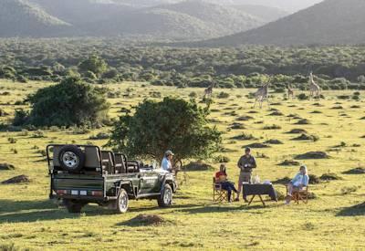 Safaris in the Kariega Game Reserve
