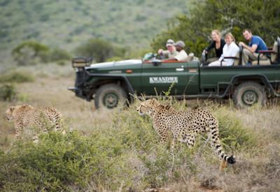 Private and exclusive game drives