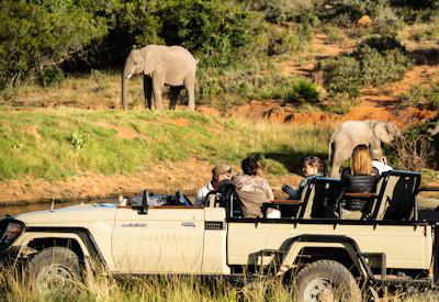 Excellent game drives accommodation