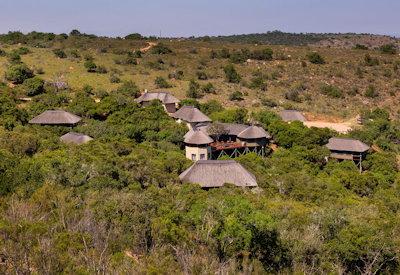 Tree Tops Lodge in the Lalibela Reserve