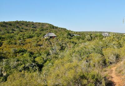 Bush Lodge in the Sibuya Game Reserve
