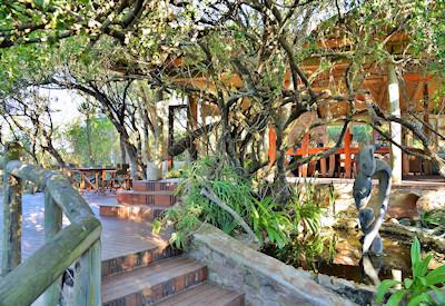 River Camp under a canopy of trees
