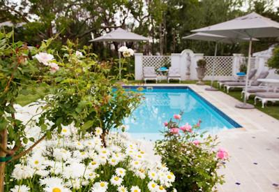 Glorious and private swimming pool