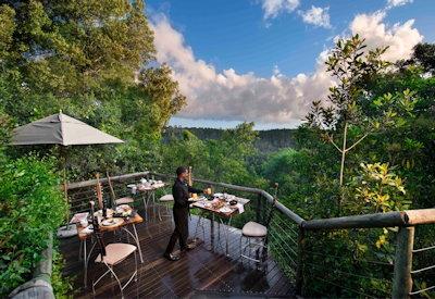 Treetop Lodge in South Africa