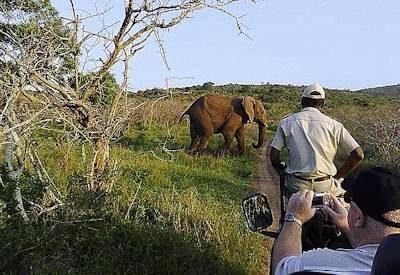 Hluhluwe Game Reserve