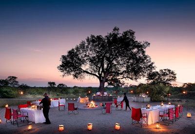 Outdoor dining surrounded by the big 5