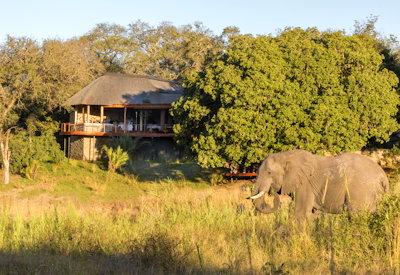 Dulini River in the Sabi Sands Game Reserve