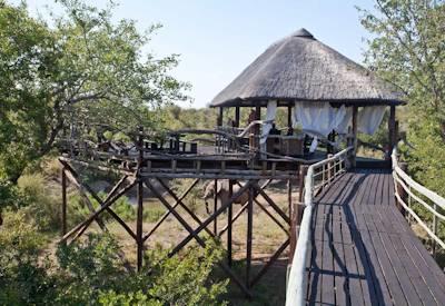 Raised wooden walksways throughout the lodge