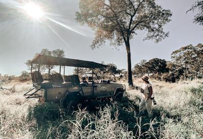 Safaris in the Manyeleti Game Reserve