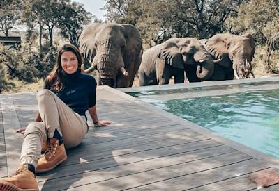 Exciting experience of elephant visiting