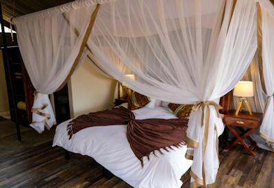 Luxurious tented en-suite safari suites