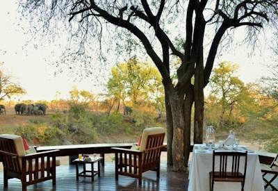 Kruger National Park safari experience