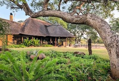 Thatched lodge guest area with safari decor