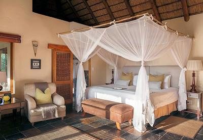 Jackalberry family suite