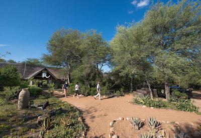 Timbavati game drive options