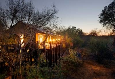 Raised Kapama tented safari suites