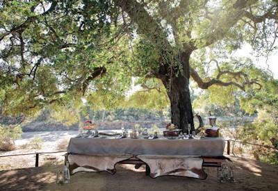Dining out in the African bushveld