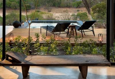 Views and wildlife on the Sabie River