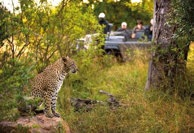 Safari activities at Lion Sands