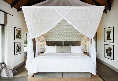 Londolozi luxury safari lodge